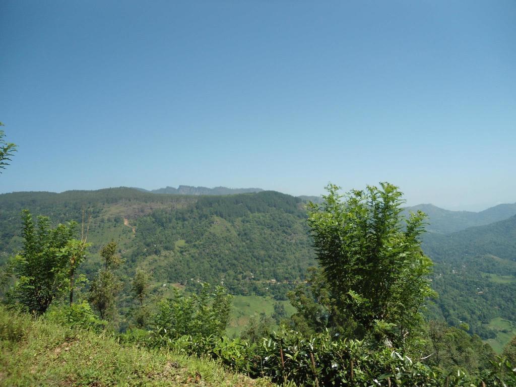 Mount River View Kandy Buitenkant foto