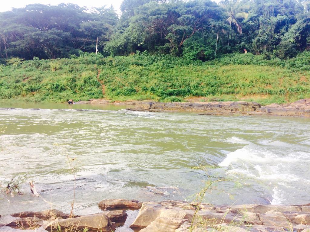 Mount River View Kandy Buitenkant foto
