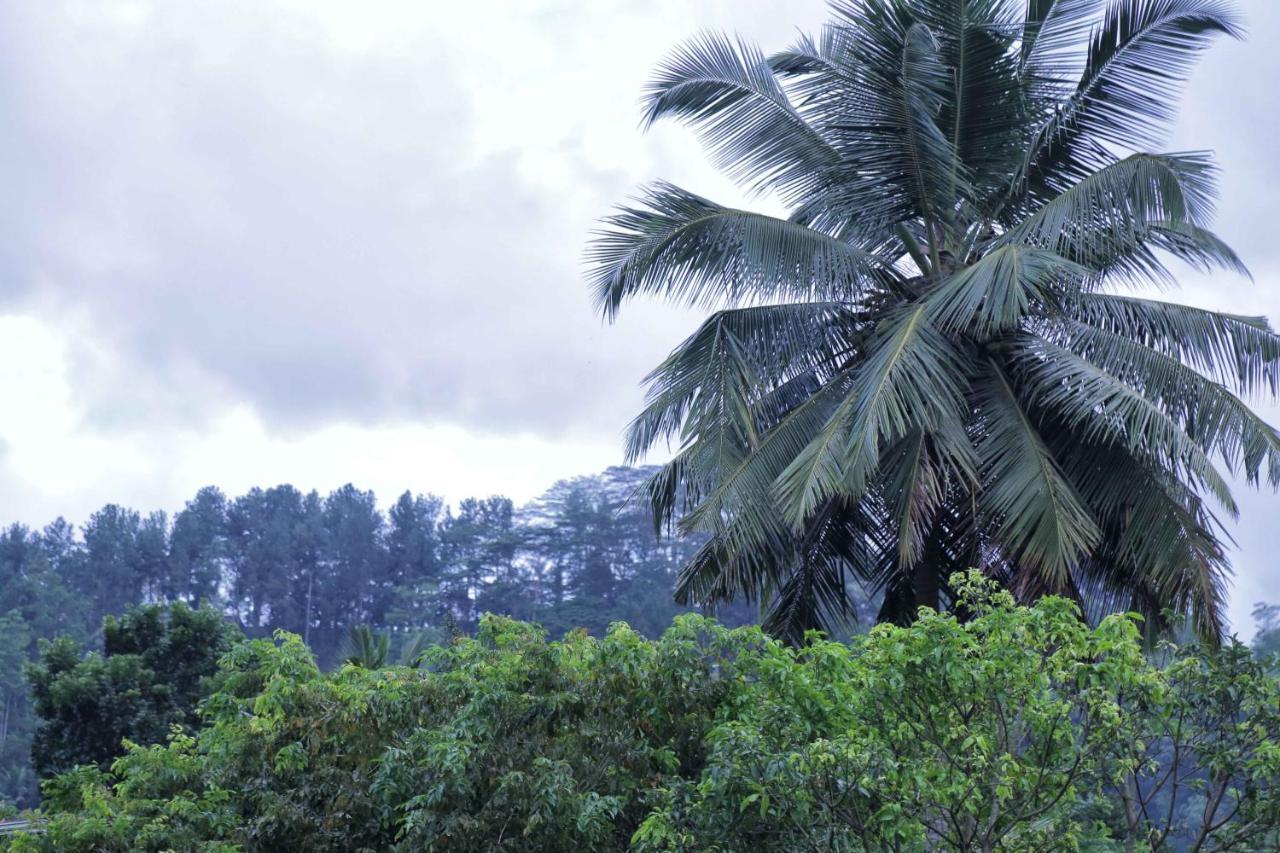 Mount River View Kandy Buitenkant foto